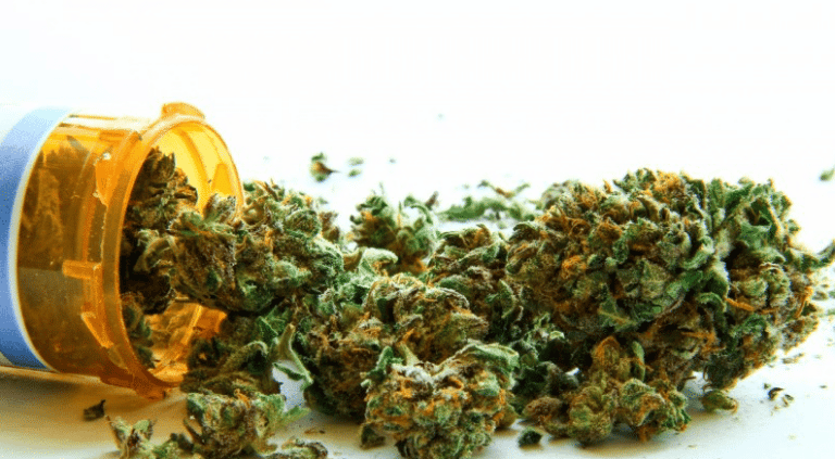 Cannabis Wins
