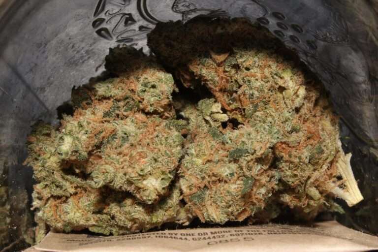 MMJ