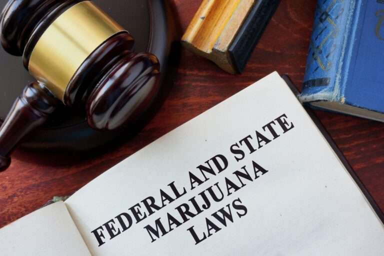 Cannabis Legalization in NJ medical marijuana New Jersey