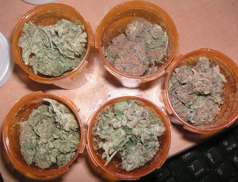 THC medical marijuana NJ medical cannabis patient Amazon