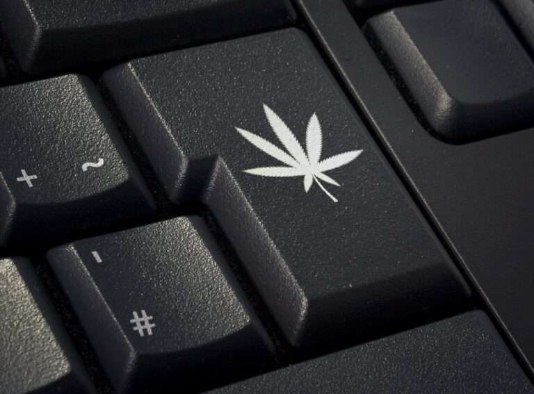 Cannabis Innovators