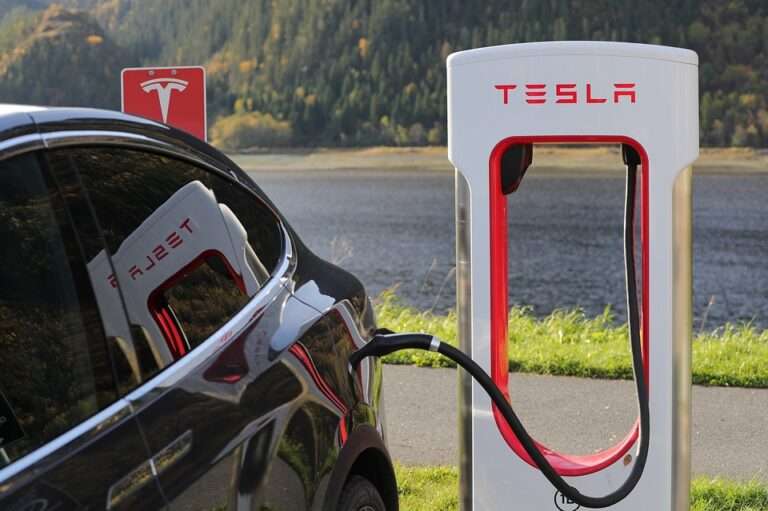 Tesla Cannabis Elon Musk. car pictured