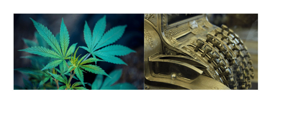 NJCTA, cannabis NJ Cannabis Trade Association
