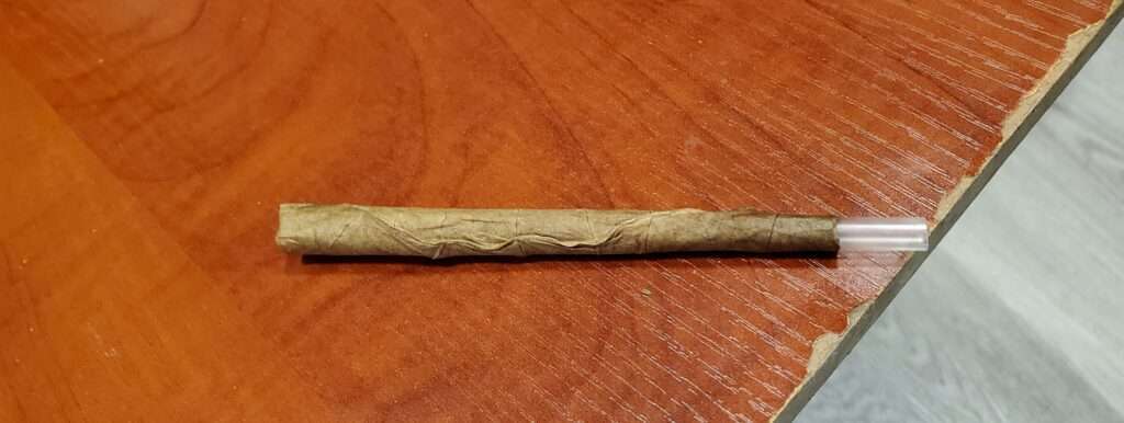 TerrAscend NJ indoor grow