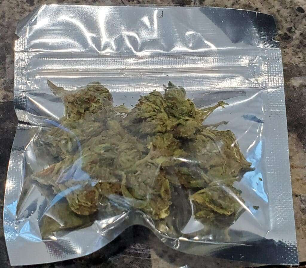 New Jersey med homegrow bill cannabis crimes