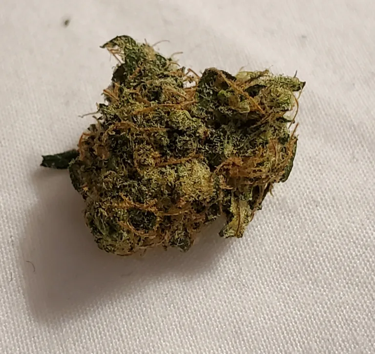 Mandatory Minimums Verano Zen Leaf dispensary Lawrenceville Neptune Elizabeth