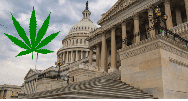 federal legalization