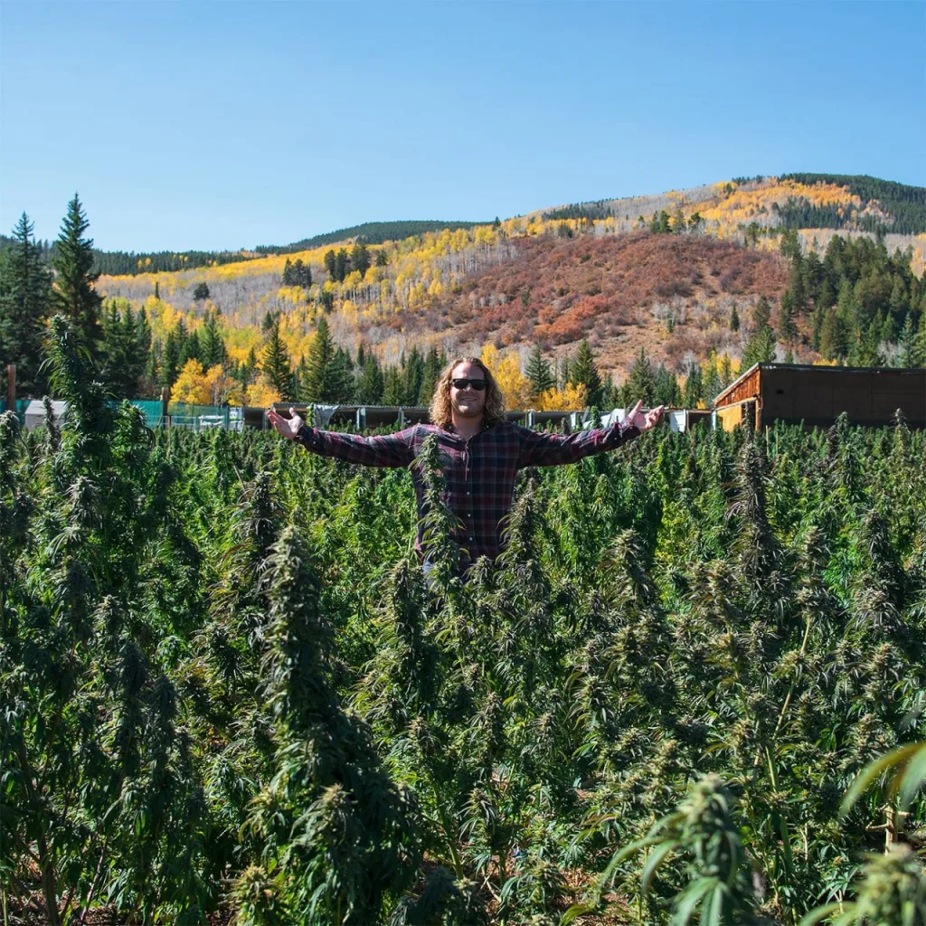 PufCreativ cannabis marketing jersey