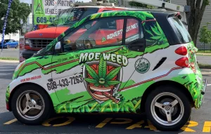 cannabis businessman moe weed trenton