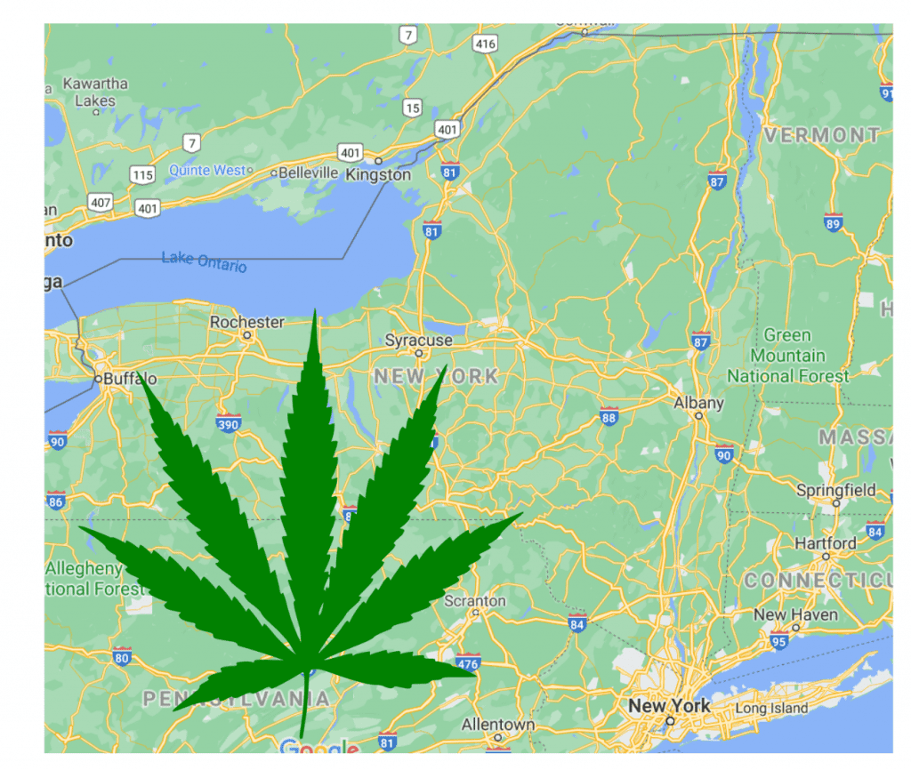 New York Cannabis Control Board NYC MRTA, homegrow legalization discussed