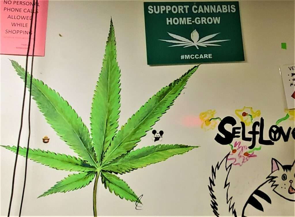 NJ Cannabis Homegrow cultivation rules