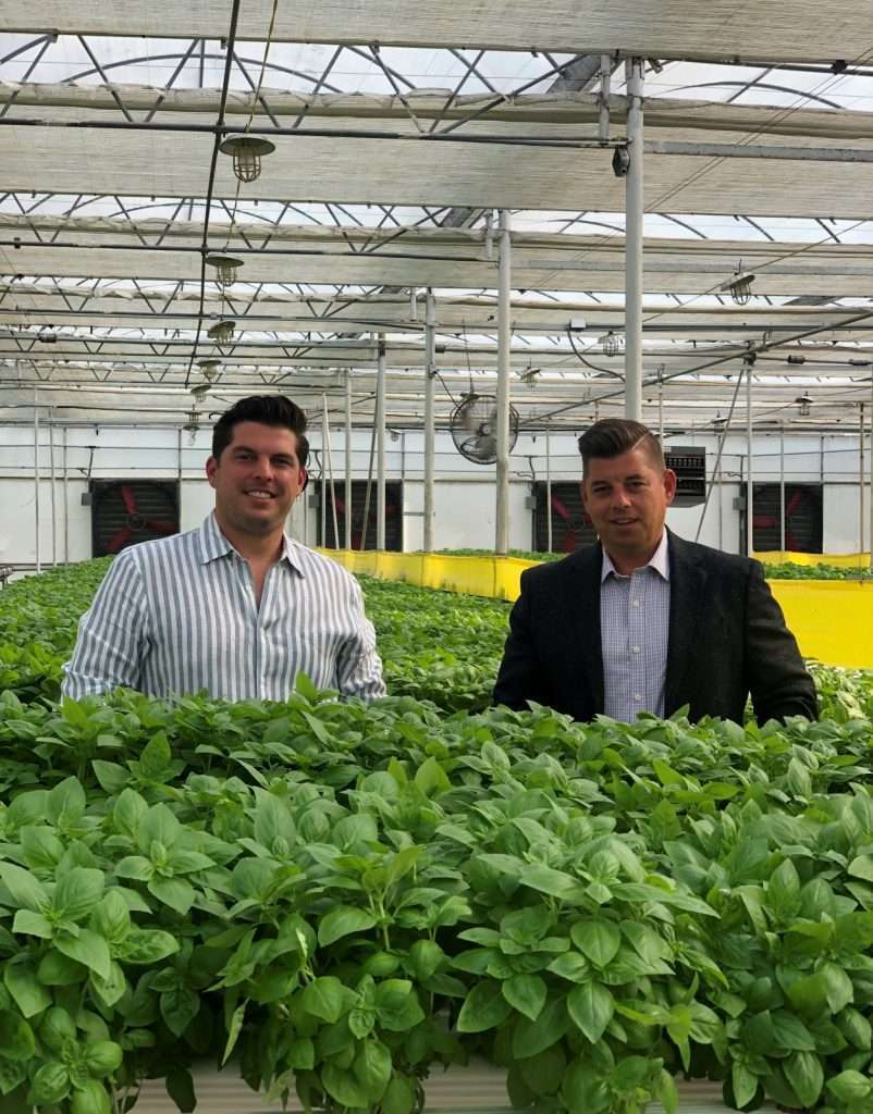 Hillview Med cannabis cannabis cultivator