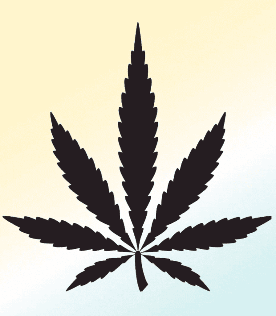 cannabis home grow vertically integrated cannabis NJ what is is and where how many