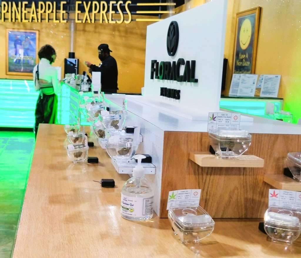 adult-use marijuana laws and rules new jersey legalization