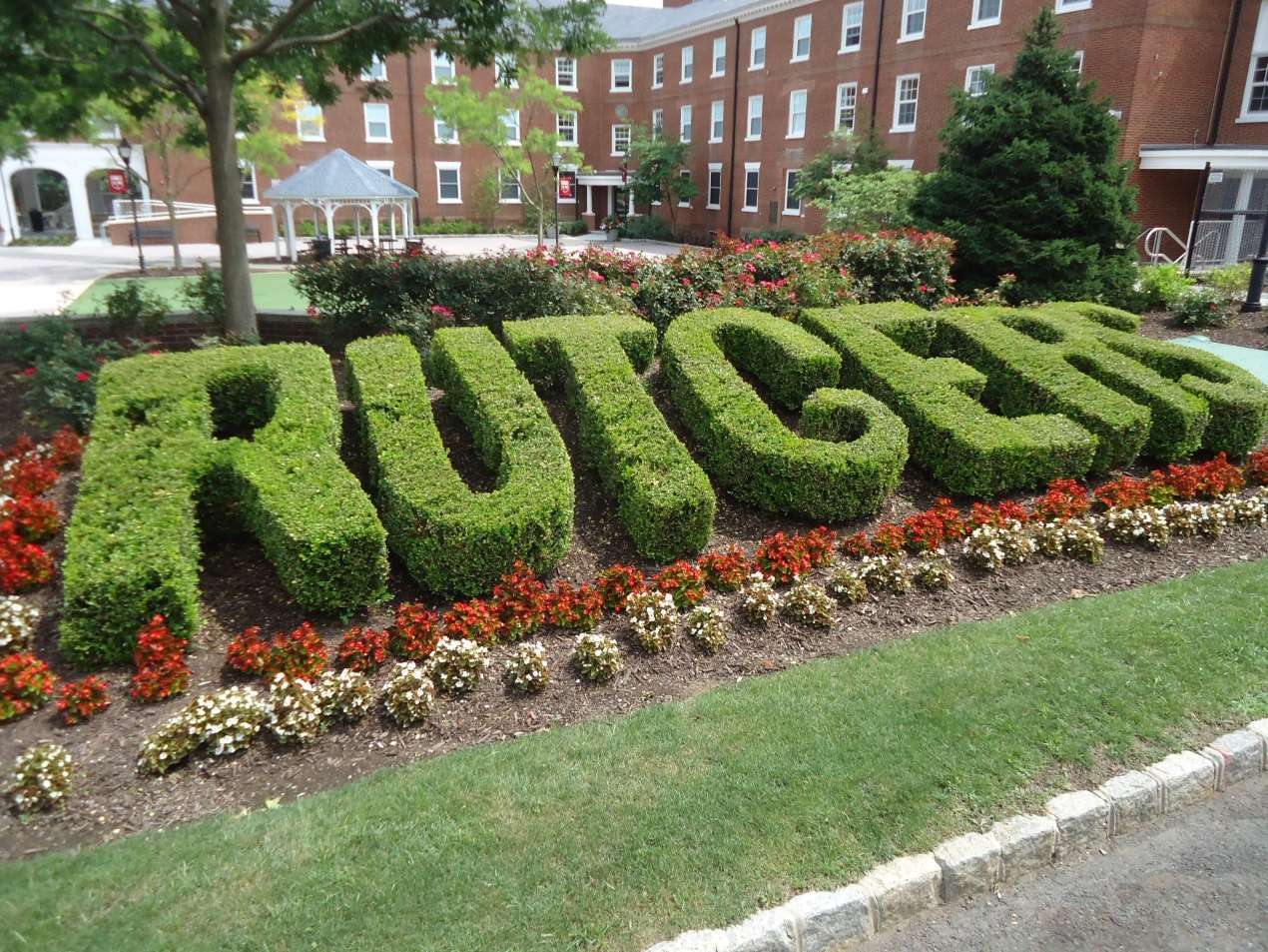 Rutgers University Awarded Federal Grant to Study Medical Cannabis Effects