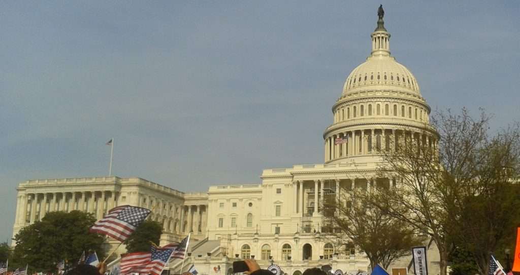 Cannabis Misdemeanors Mushrooms, expunge congress psychedelics intoxicating hemp ban