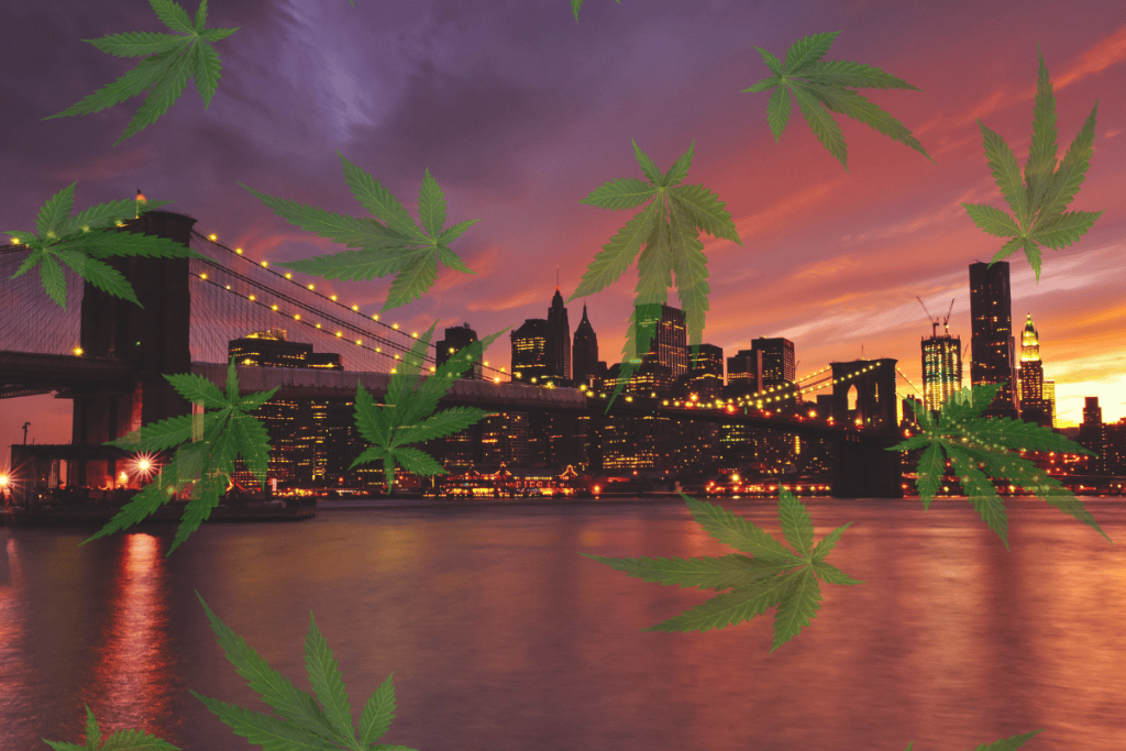 legal cannabis sales nyc heady NJ