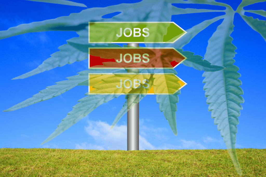 cannabis JOB industry NJ heady NJ work in cannabis