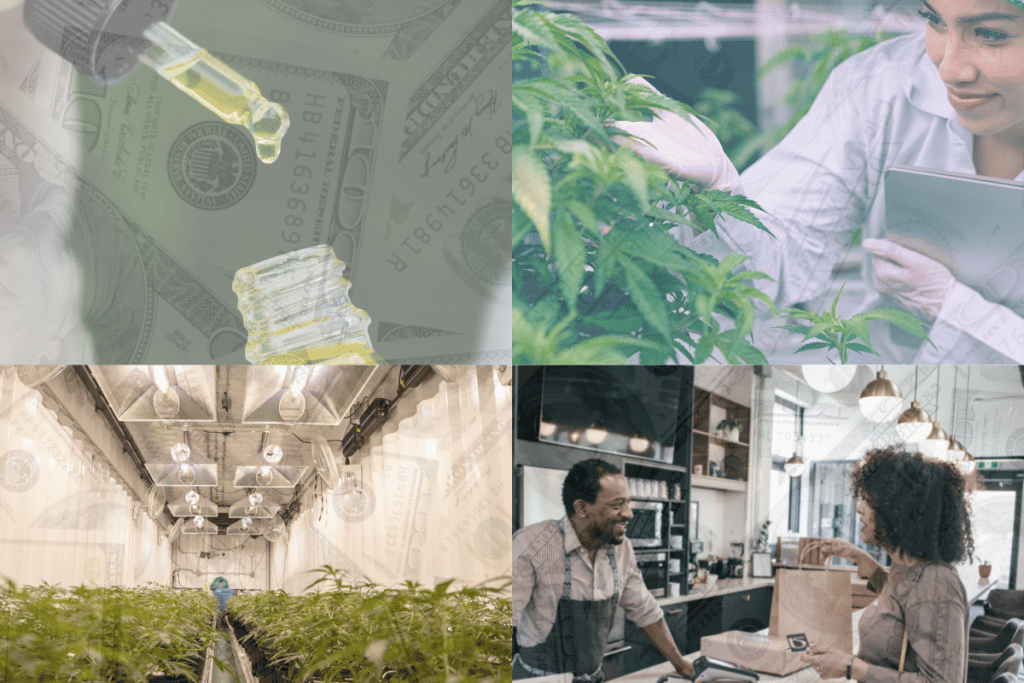 cannabis job opportunities