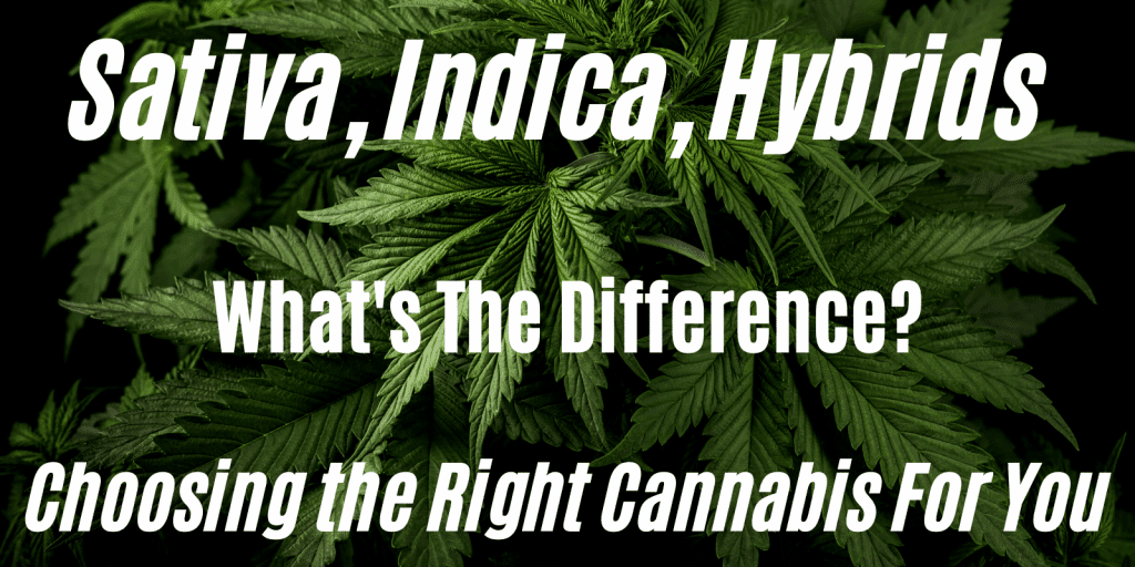 Sativa Indica Hybrids