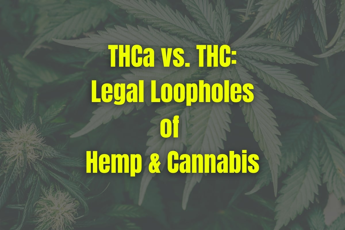 THCA Vs. THC: Legal Loopholes In Cannabis And Hemp?