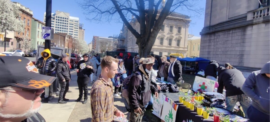 Homegrow Advocates and Legacy Operators Protest at State House