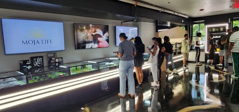 Trenton cannabis dispensary Moja Life show floor displayed