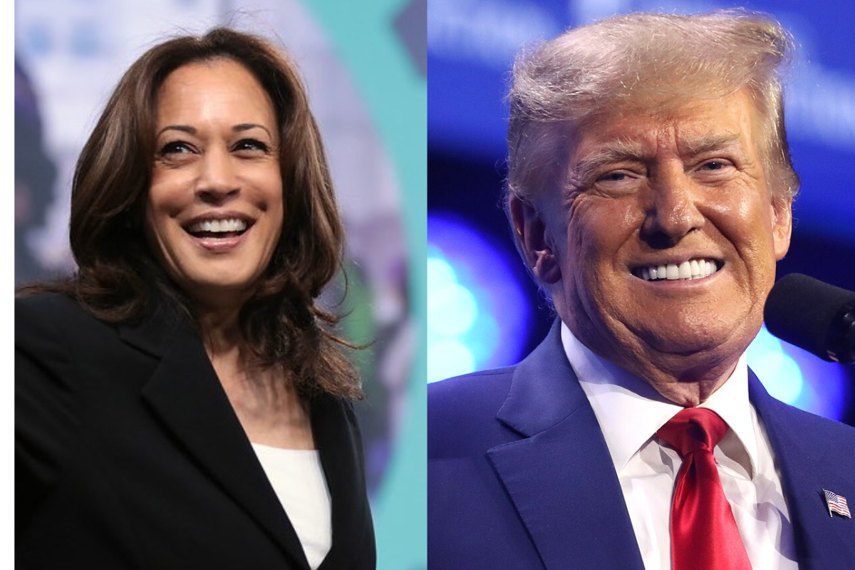 The Federal Marijuana Legalization Positions of Donald Trump and Kamala Harris