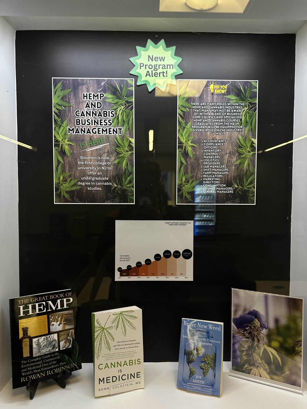 A Look at the Stockton University Hemp and Cannabis Studies Program