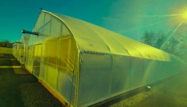 NJ Cannabis Cultivation