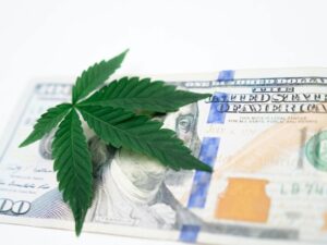AML Anti-Money Laundering Compliance cannabis NJ
