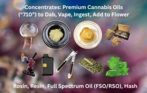 Higher Function cannabis concentrates