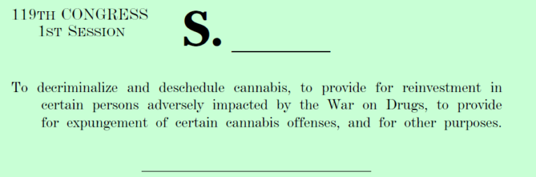federal cannabis descheduling bill  Cannabis Administration and Opportunity Act CAOA reintroduced in Congress