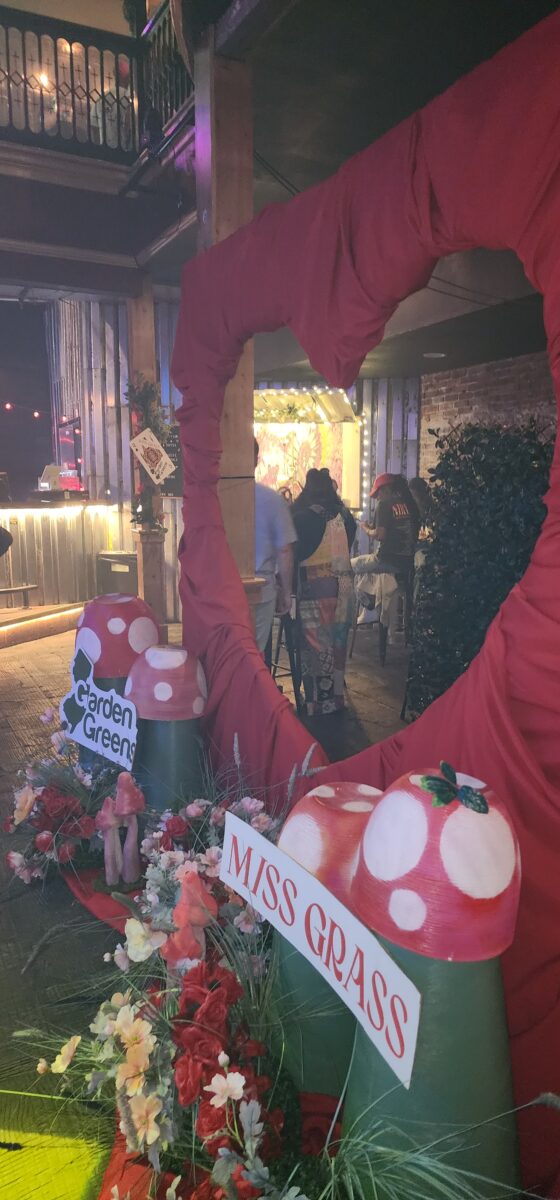 Wonderland party at NECANN by Garden Greens and Miss Grass