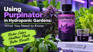 hydroponic purpinator
